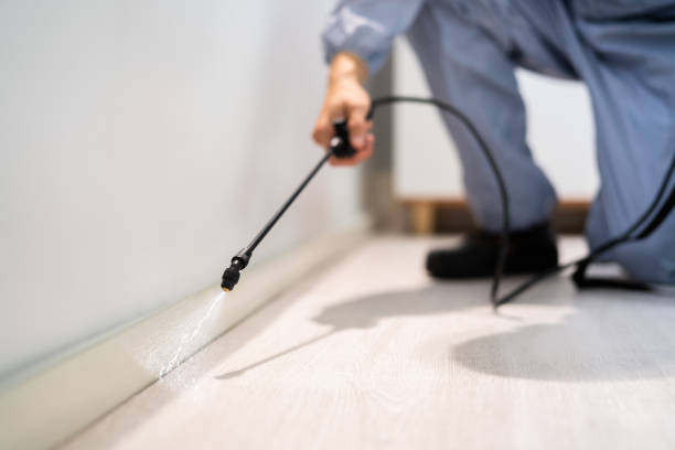 Professional exterminator conducting IPM assessment in Excelsior