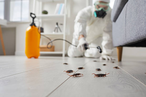 Post-Treatment Bed Bug Interceptor Monitoring in Excelsior